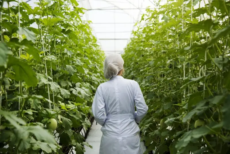 Greenhouse inspection by autonomous robots